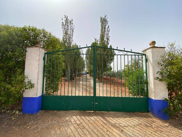 Terreno en venta en Torrenueva, Castilla-La Mancha