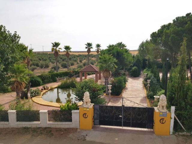 Terreno en venta en Torrenueva, Castilla-La Mancha