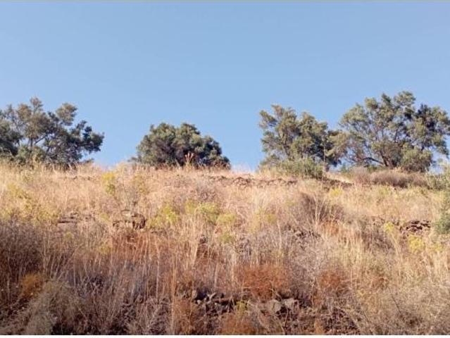 Local Comercial en venta en Castillo Bajo-Conejito, La Axarquía