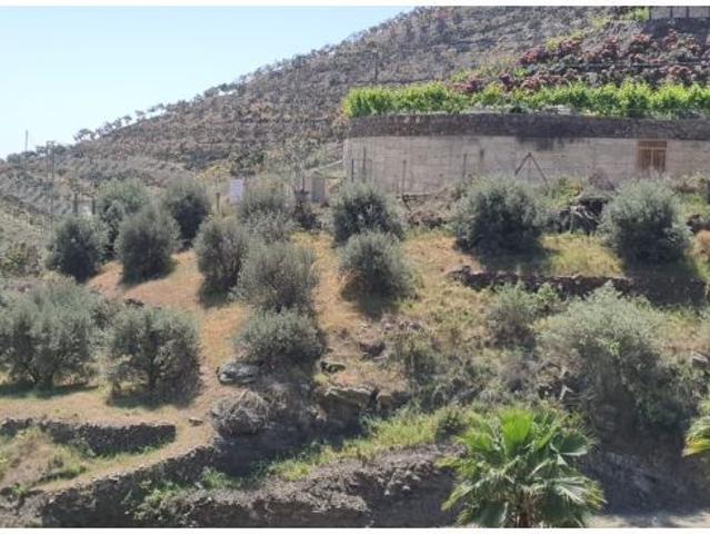 Local Comercial en venta en Castillo Bajo-Conejito, La Axarquía