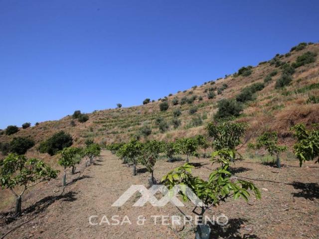 Terreno en venta en Totalán Terreno en venta en Totalán