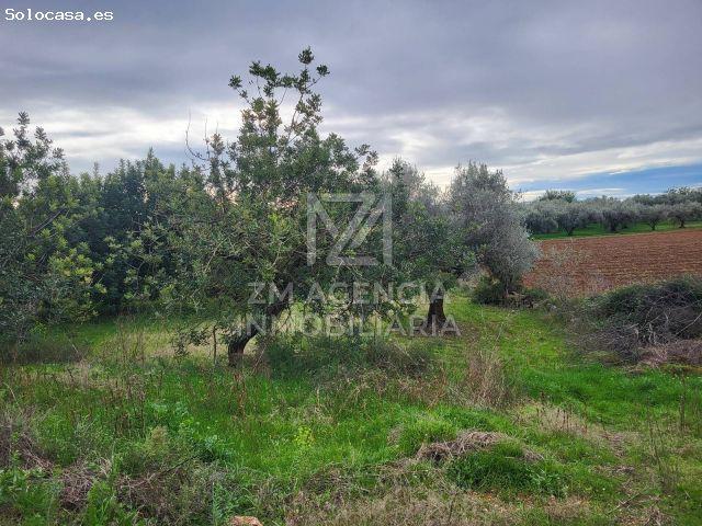 Local Comercial en venta en el Baix Maestrat, Valencia