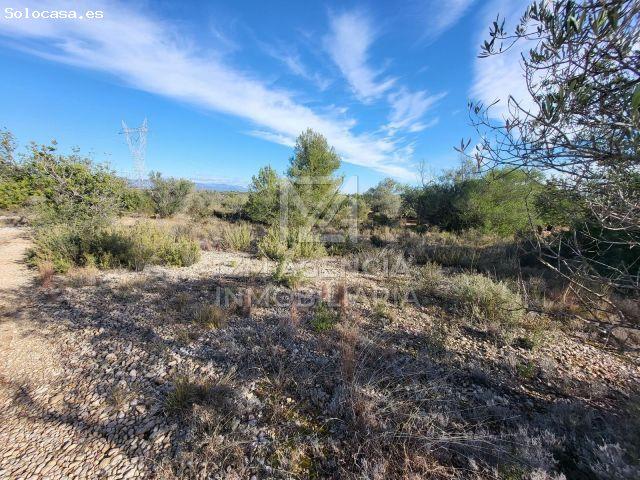 Local Comercial en venta en el Baix Maestrat, Valencia