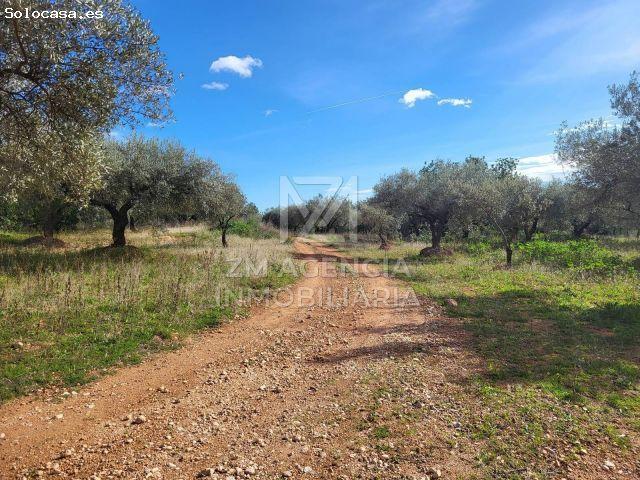 Local Comercial en venta en el Baix Maestrat, Valencia