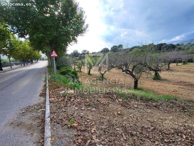 Local Comercial en venta en el Baix Maestrat, Valencia