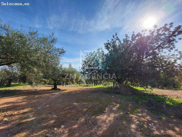Local Comercial en venta en el Baix Maestrat, Valencia