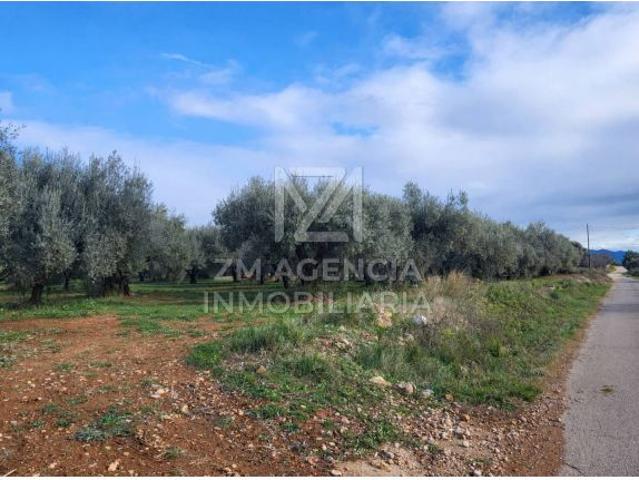 Local Comercial en venta en el Baix Maestrat, Valencia