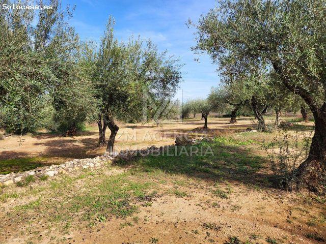 Local Comercial en venta en el Baix Maestrat, Valencia