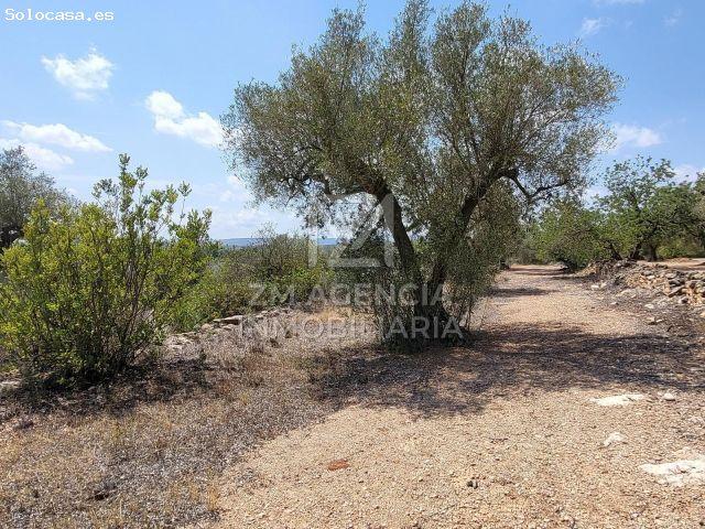Local Comercial en venta en el Baix Maestrat, Valencia