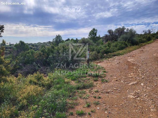 Local Comercial en venta en el Baix Maestrat, Valencia