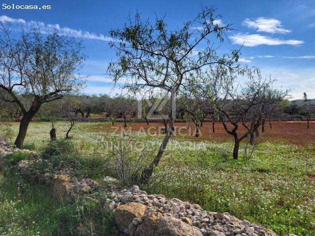 Local Comercial en venta en el Baix Maestrat, Valencia