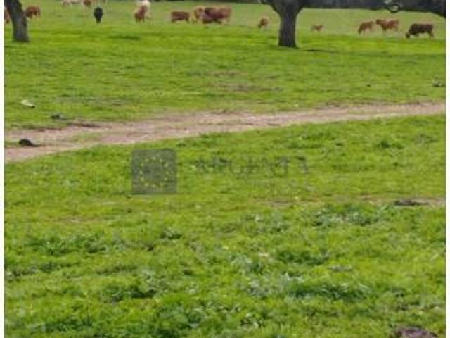 Villa en venta en Trujillo