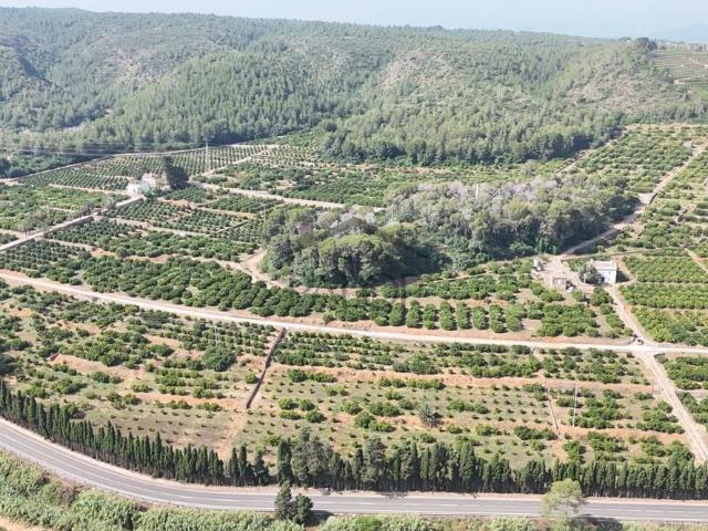Terreno en venta en la Ribera Alta, Valencia