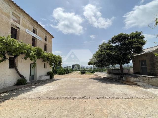 Terreno en venta en la Ribera Alta, Valencia