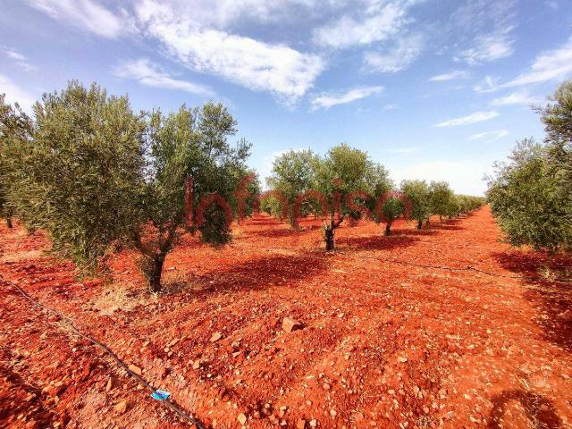 Terreno en venta en Valdepeñas, Castilla-La Mancha