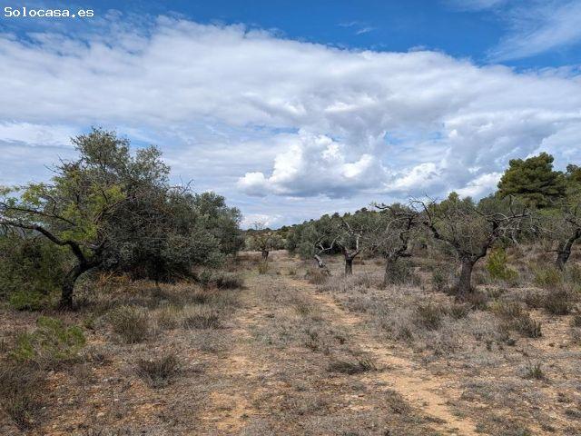 Local Comercial en venta en Matarraña / Matarranya, Valderrobres