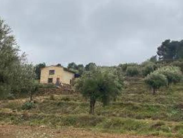 Terreno en venta en Valencia De Las Torres Terreno en venta en Valencia De Las Torres