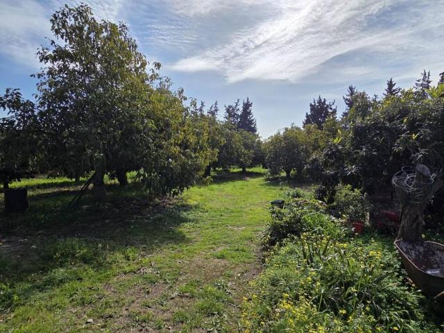 Terreno en venta en Costa del Sol Occidental, Andalucía