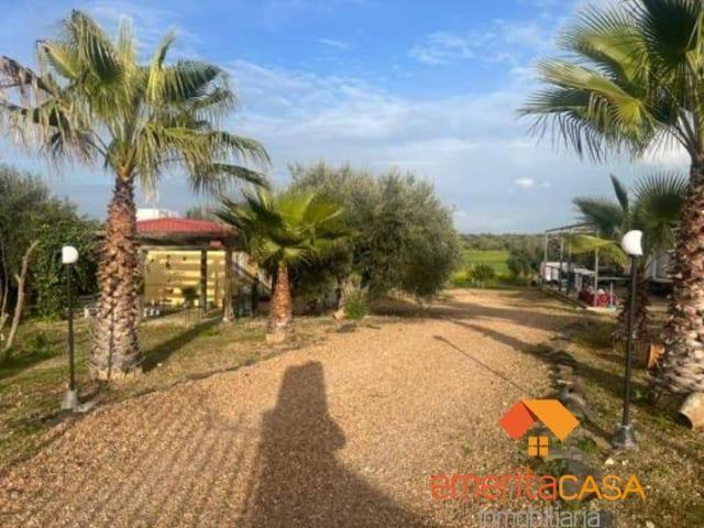 Terreno en venta en Valverde De Mérida Terreno en venta en Valverde De Mérida