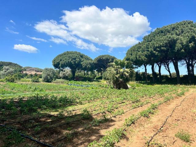 Terreno en venta en Urbanización Alcazaba, La Janda