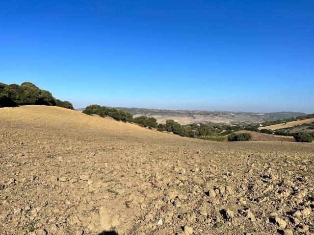Terreno en venta en Urbanización Alcazaba, La Janda