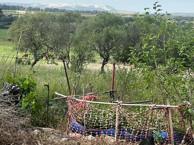 Terreno en venta en Urbanización Alcazaba, La Janda