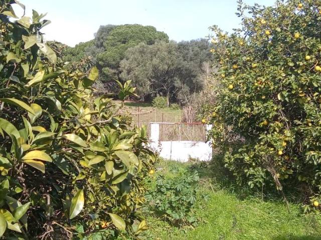 Terreno en venta en Urbanización Alcazaba, La Janda