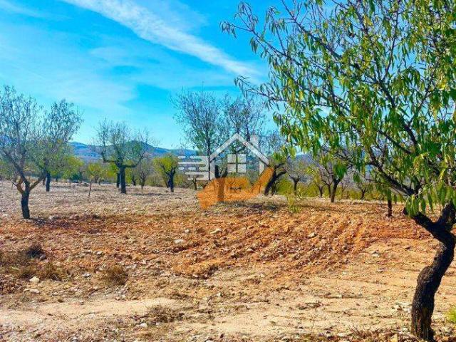 Terreno en venta en Los Vélez, Andalucía