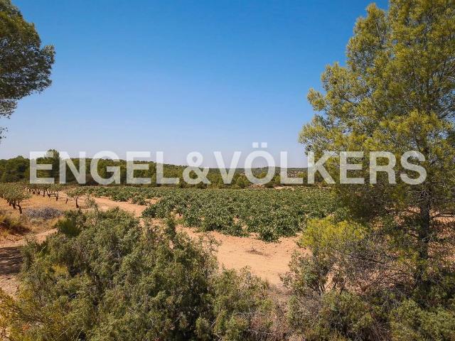 Terreno en venta en Requena, El Arrabal Terreno en venta en Requena, El Arrabal