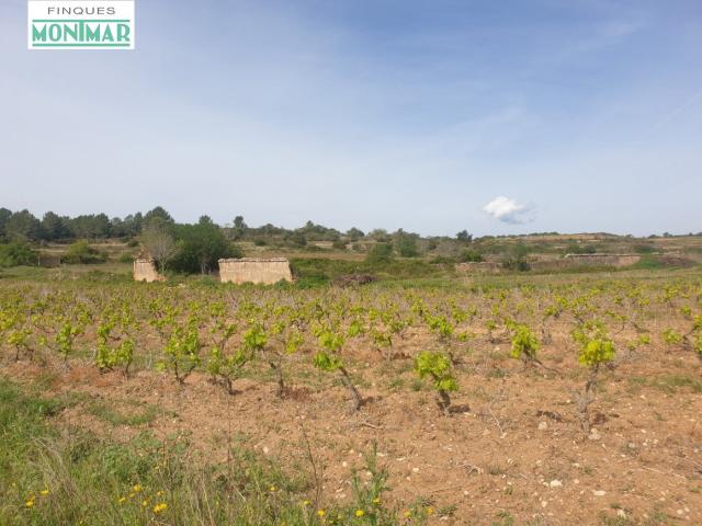 Terreno en venta en Vilabella