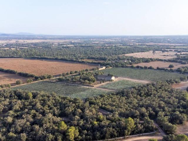 Terreno en venta en Pla de Mallorca, Baleares