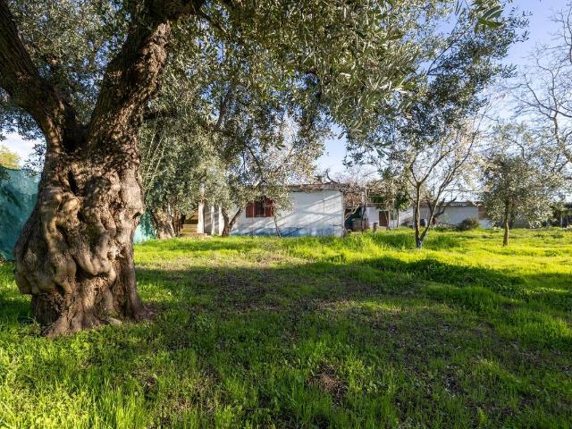 Terreno en venta en Comarca de la Vega de Granada, Andalucía