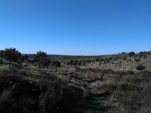 Terreno en venta en Villa Del Campo, Extremadura