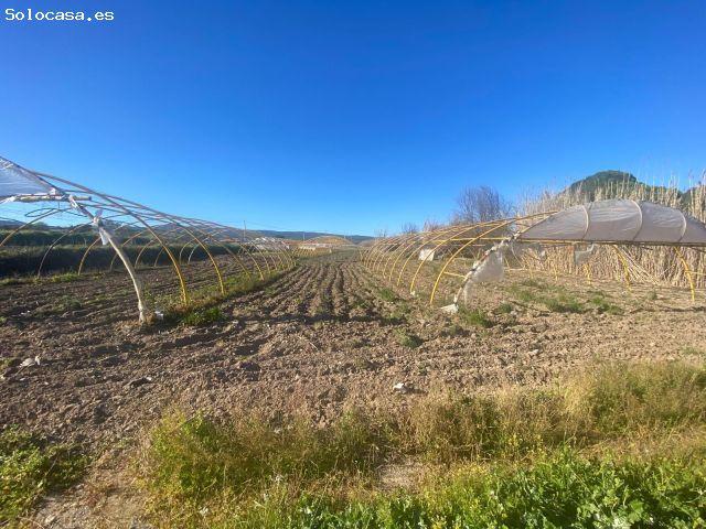 Local Comercial en venta en Villa Del Prado, Madrid