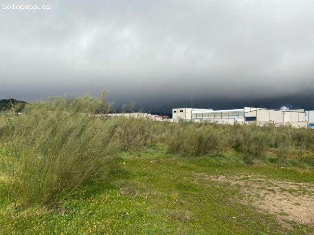 Local Comercial en venta en Villa Del Prado, Madrid