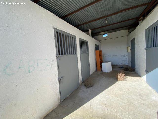Local Comercial en venta en Villa Del Prado, Madrid