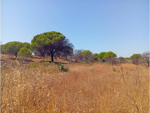 Terreno en venta en Costa Occidental, Andalucía