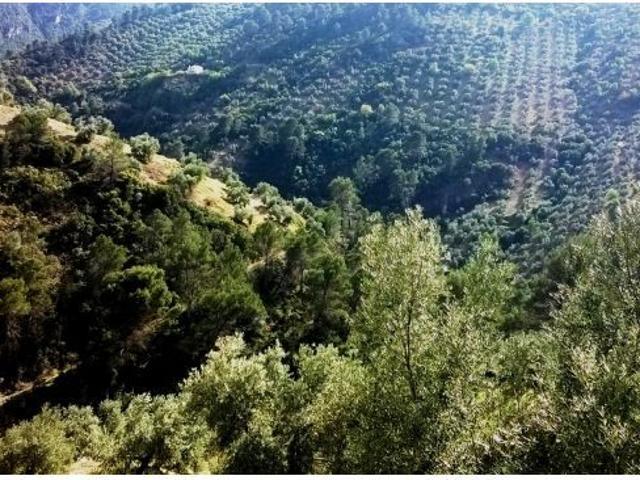 Local Comercial en venta en Villacarrillo, Andalucía
