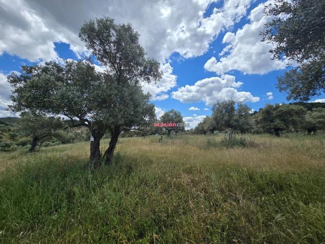 Terreno en venta en Villaharta, Andalucía