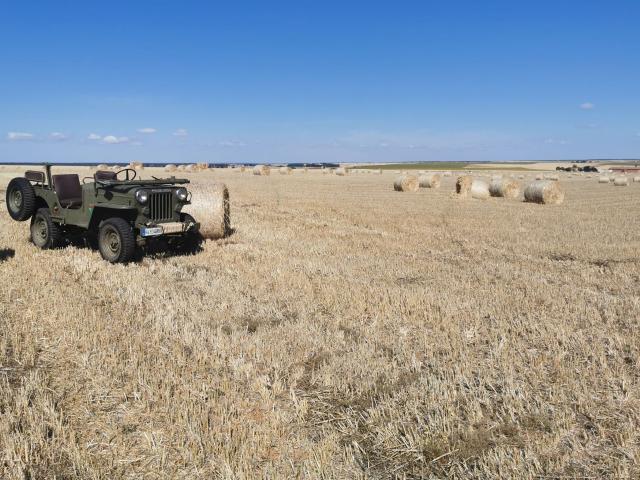 Terreno en venta en Villalba De Los Llanos