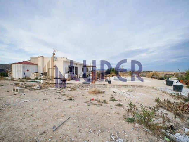 Terreno en venta en San Vicente Del Raspeig, la Borinquen