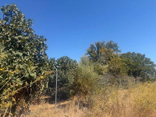 Terreno en venta en Villamuriel De Cerrato, Castilla y León
