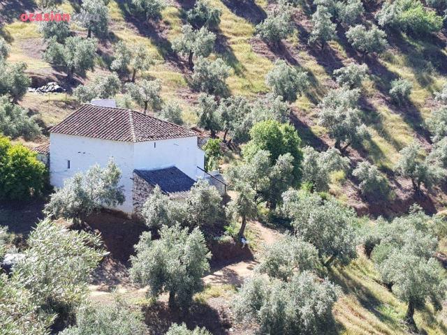 Terreno en venta en Villanueva De Córdoba, Andalucía