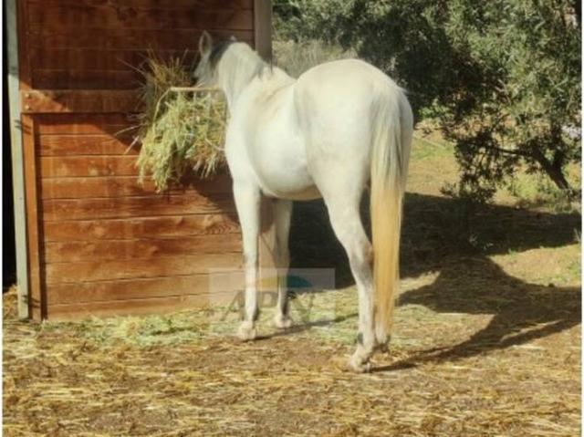 Terreno en venta en Málaga