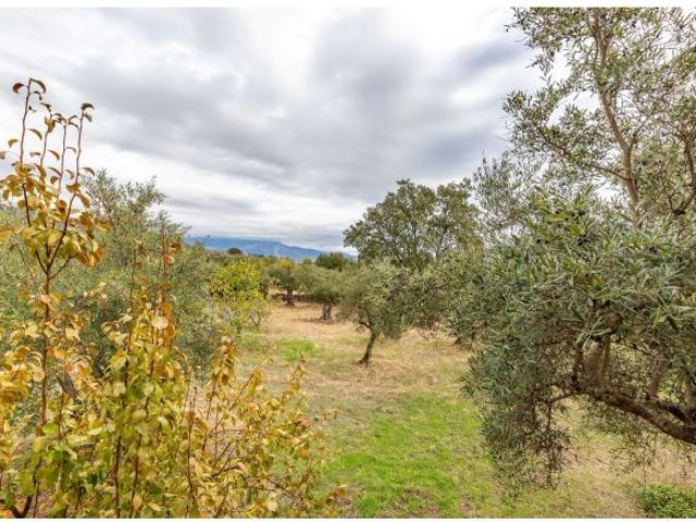 Local Comercial en venta en Villanueva De La Vera, Extremadura