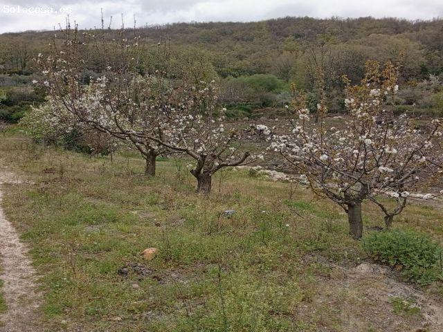 Local Comercial en venta en Villanueva De La Vera, Extremadura