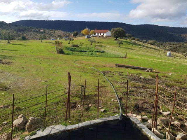 Local Comercial en venta en Villanueva Del Rey