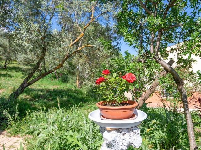 Terreno en venta en Nororma, Andalucía