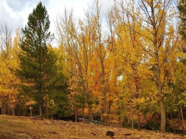 Terreno en venta en Villar De Olalla