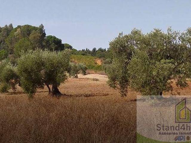Terreno en venta en El Condado, Andalucía